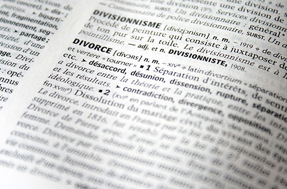 Cottet-bretonnier-navarrete-divorce-texte